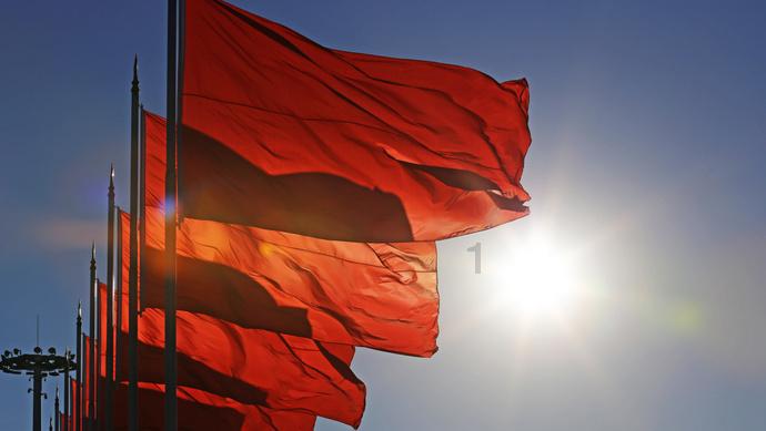 泰迪纯种和不纯图对比游戏画面
