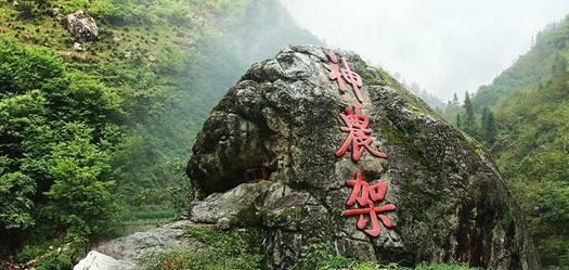 兰博基尼填颜色
